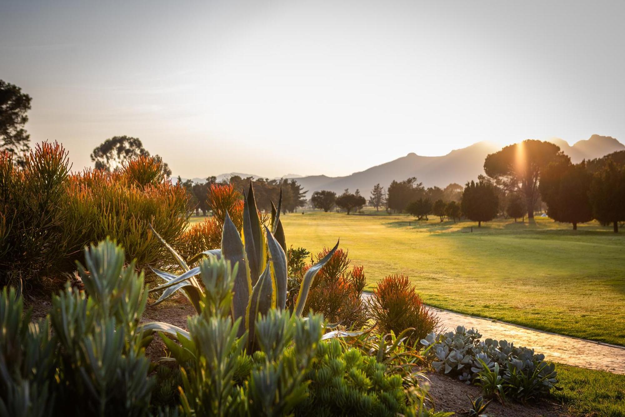 Готель Devonvale Golf & Wine Estate Стелленбос Екстер'єр фото